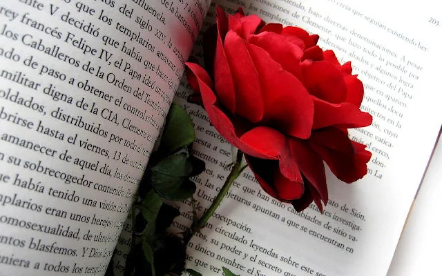 Een rode roos tussen een boek