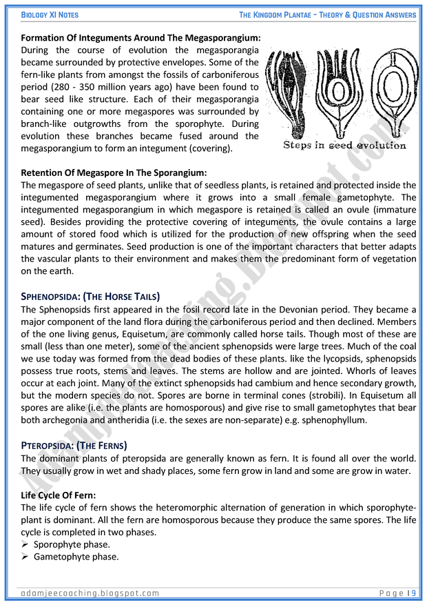 kingdom-plantae-descriptive-question-answers-biology-11th