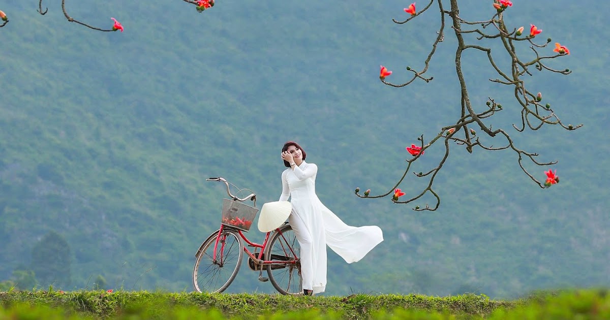 Mùa hoa gạo…