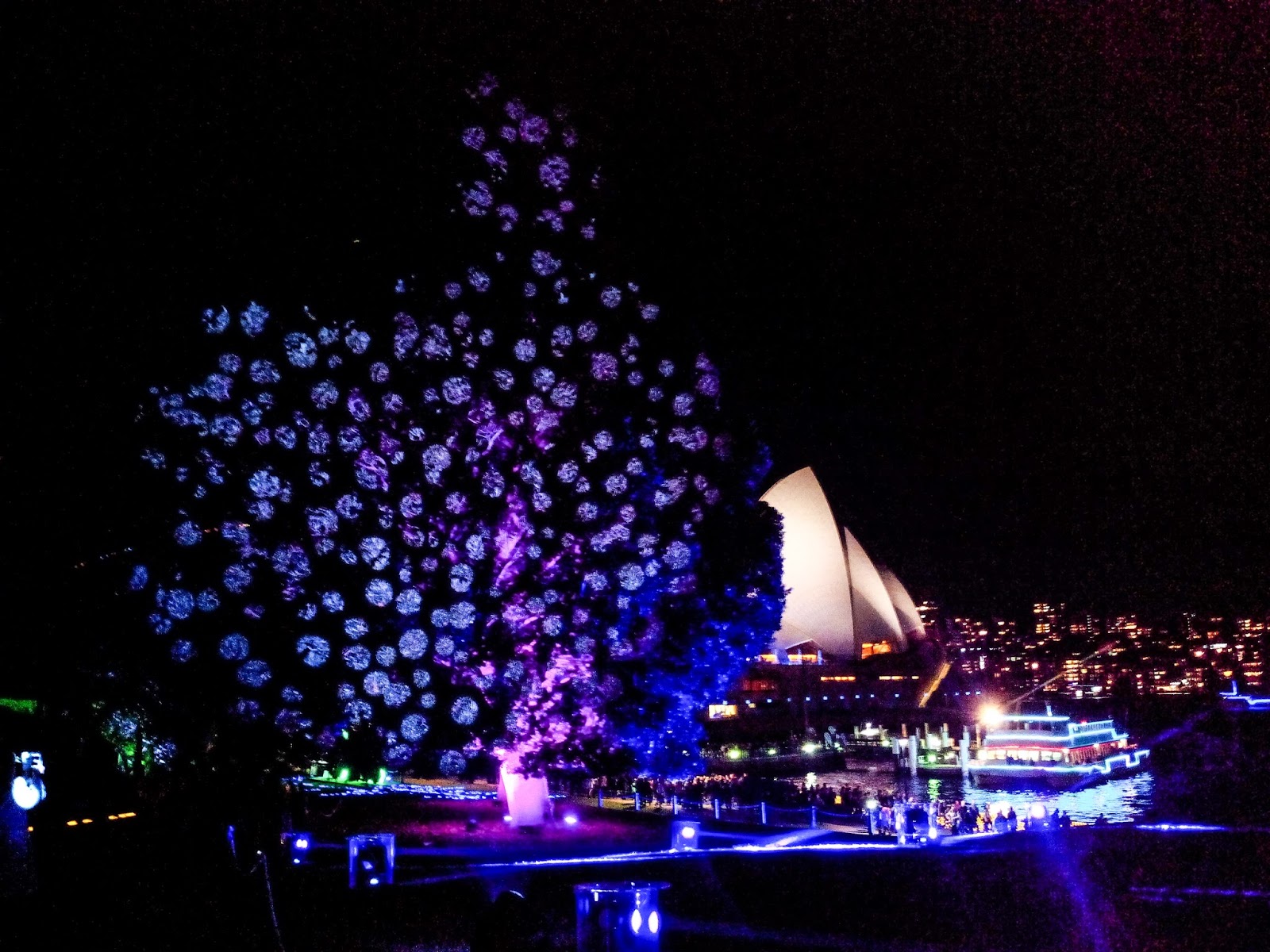 Vivid Sydney Royal Botanical Garden Destiny's Child