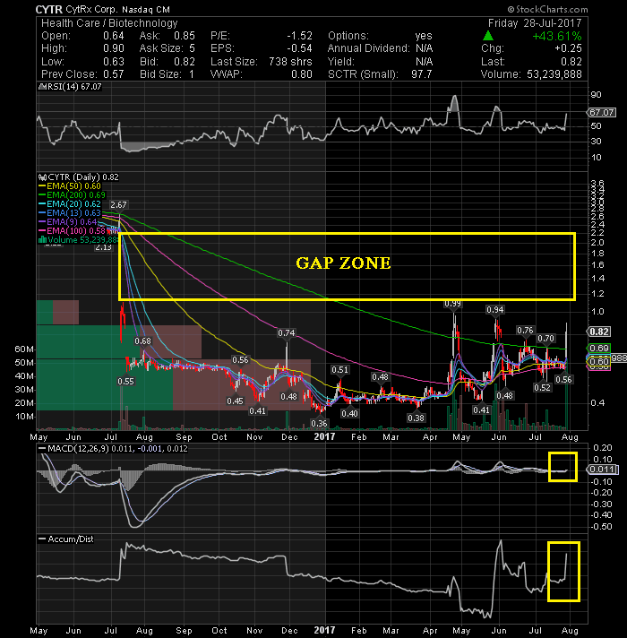 Cytr stock options