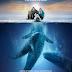 Big Miracle (2012) ONLINE Subtitrat