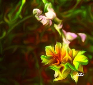 Fauna, Flora, Tiere, Vögel, Fische, Insekten, Blumen, Bäume Fauna, Flora, Tiere, Vögel, Fische, Insekten, Blumen, Bäume, Berge, Meer, Ozean, Natur, Sonne, Mond, animals, birds, fish, insects, flowers, trees, mountains