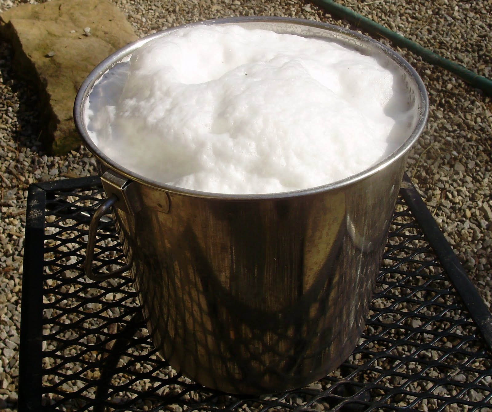 Ohiofarmgirl's Adventures In The Good Land Bucket of milk and Sunshine!