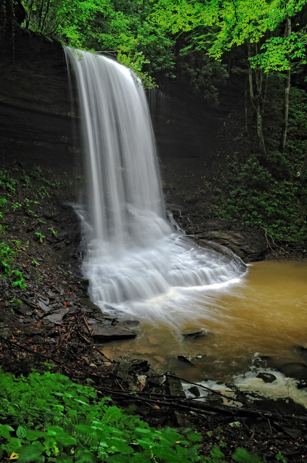 Discover West Virginia Ramsey Branch Falls a Hidden Gem