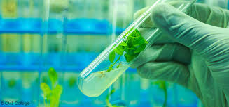 Department+of+Biotechnology