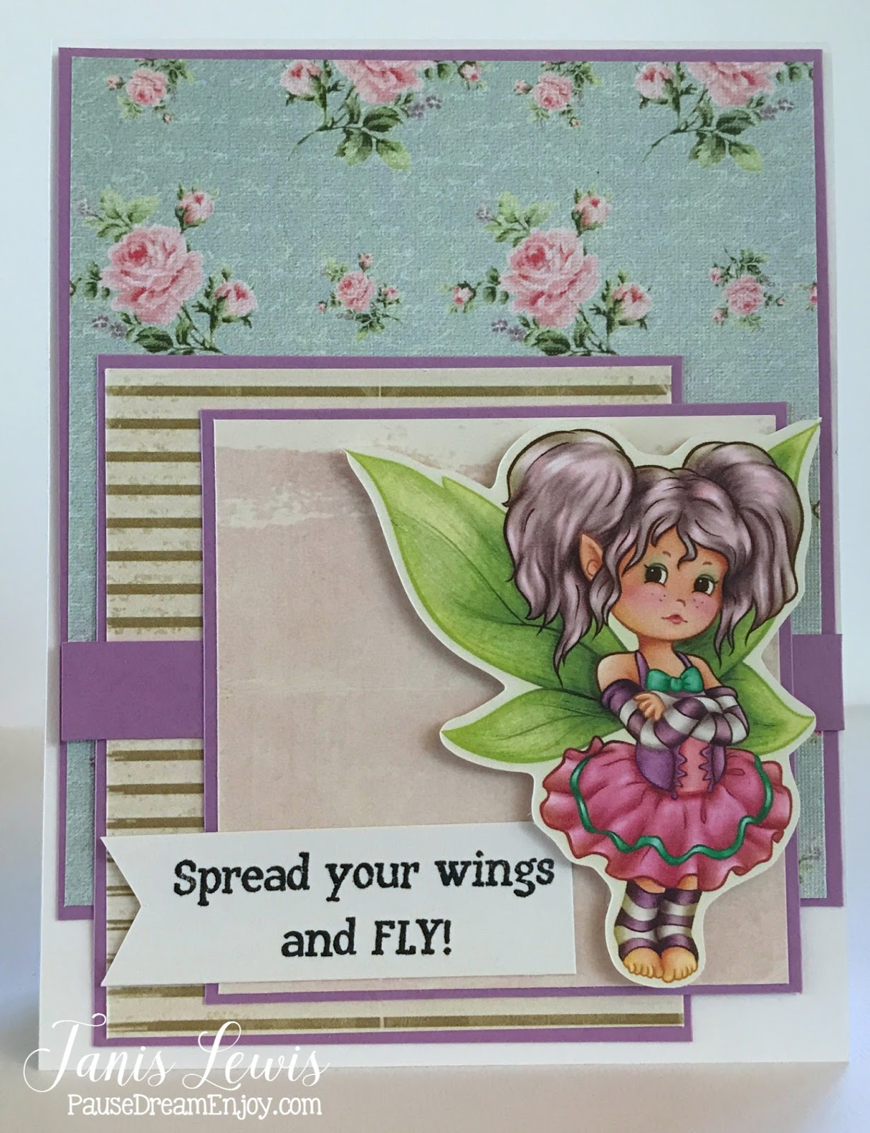 Spread your wings and fly essay image