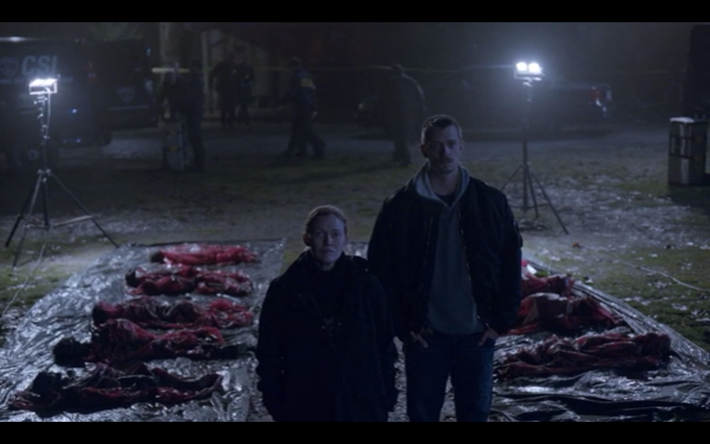 The Killing season 3 - Wikipedia