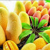 Mango can prevent breast cancer