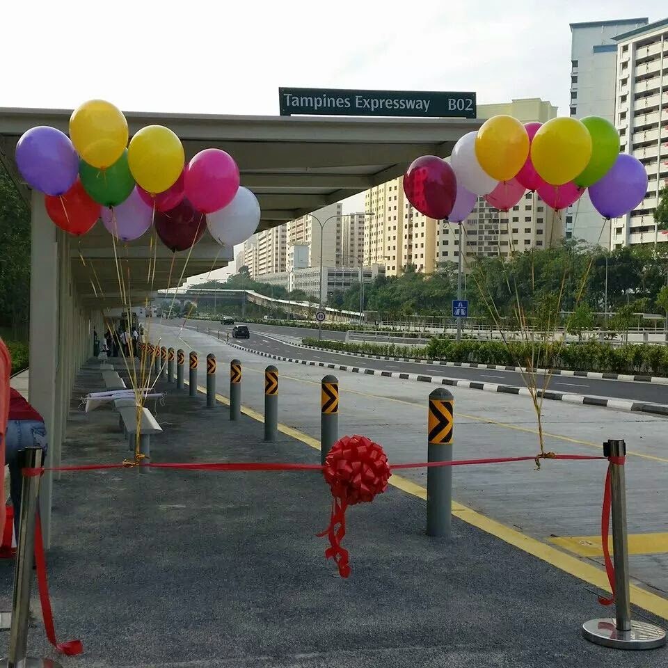 Balloon Surprizes Treated Helium Balloons to float longer.