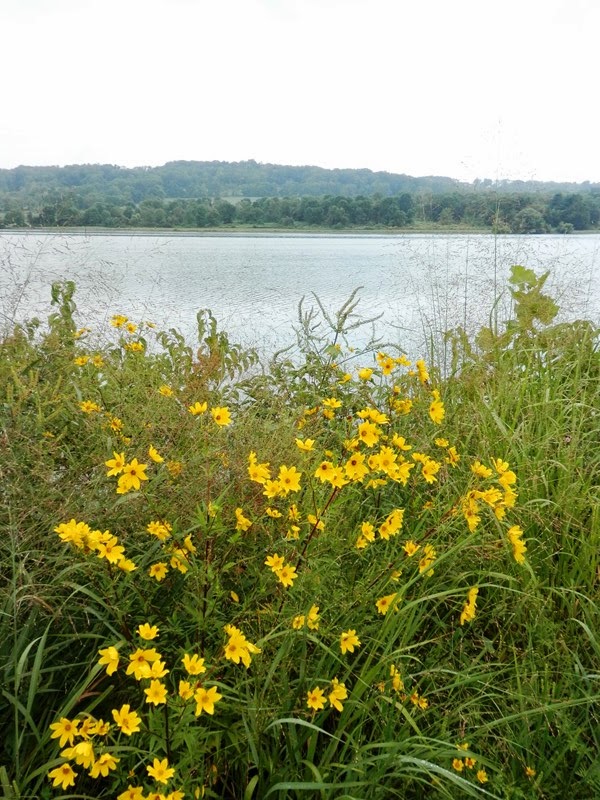 Southeastern PA Hiking Peace Valley Park