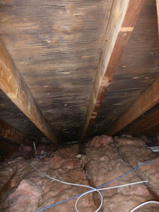 IndoorDoctor on Indoor Air Quality Blizzard Will Cause Widespread