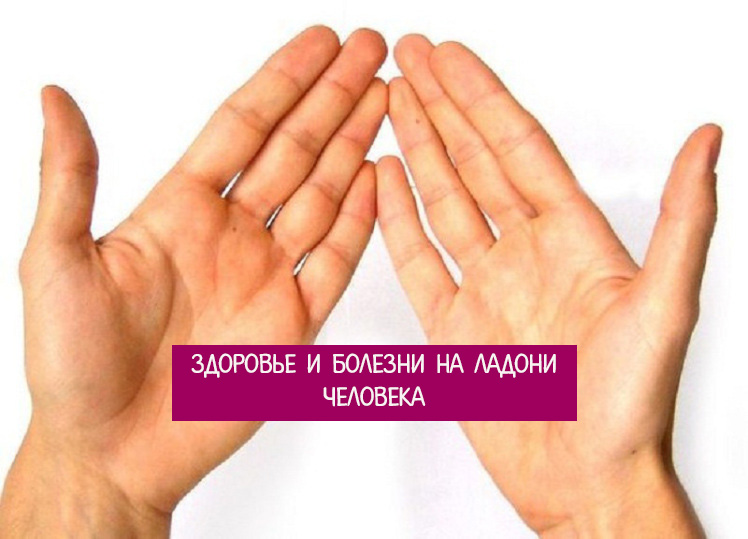 Платье 18004с, 42. 009. Правило россна р860451. Кольцо из проволоки сопротивлением 1мом находится. 5 мм2.