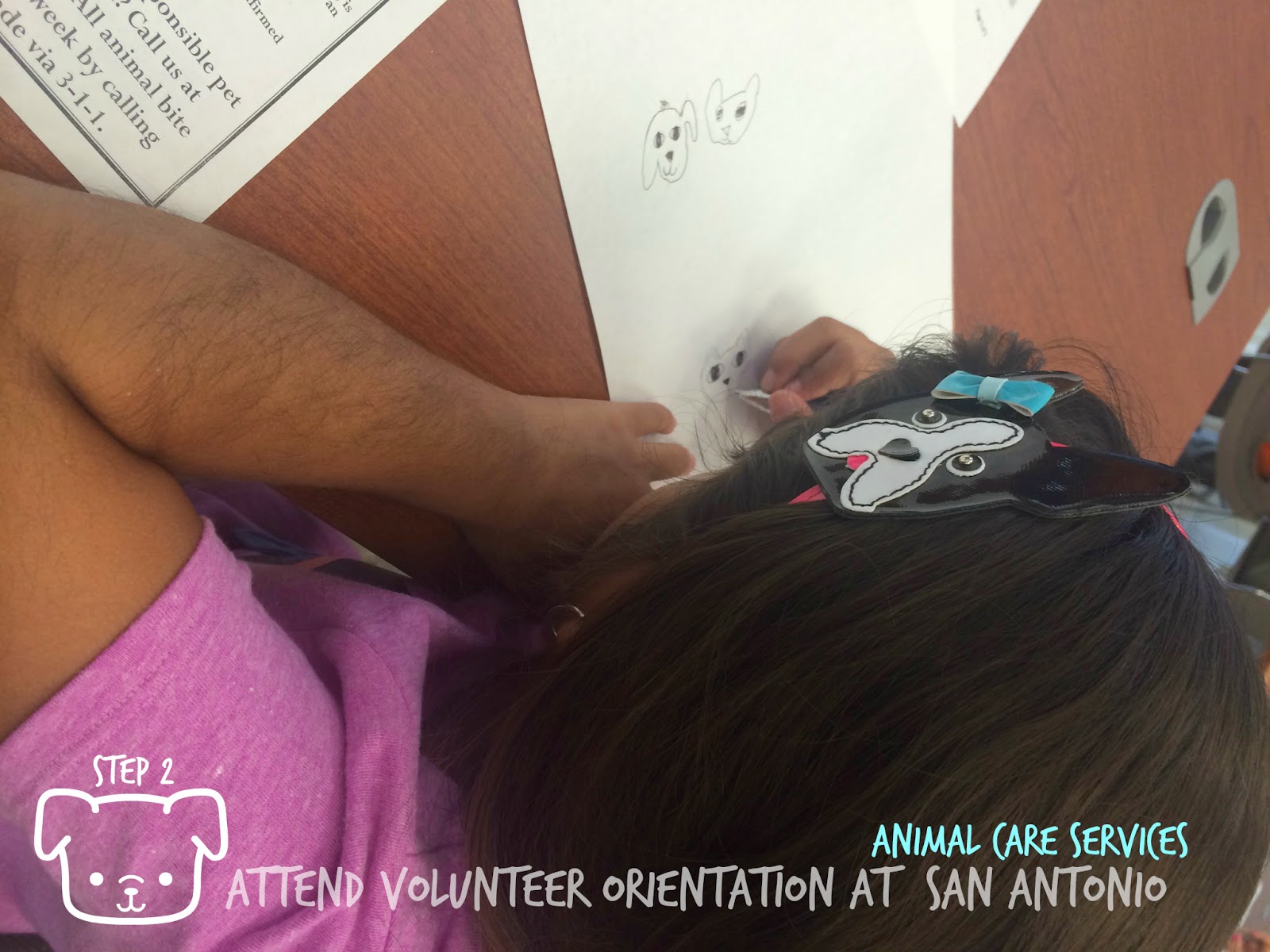 Steps to Volunteering with kids at the Animal Care Services of San Antonio