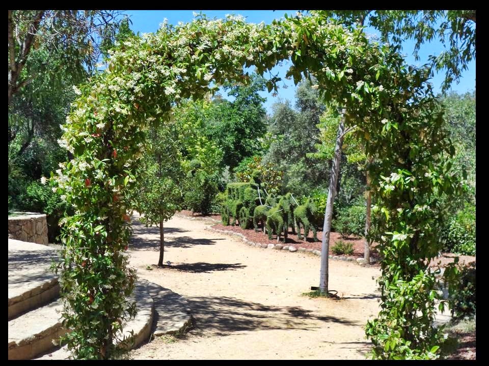 Merime...vivir es una aventura. EL BOSQUE ENCANTADO.