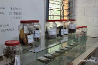 taman hutan raya ir h juanda