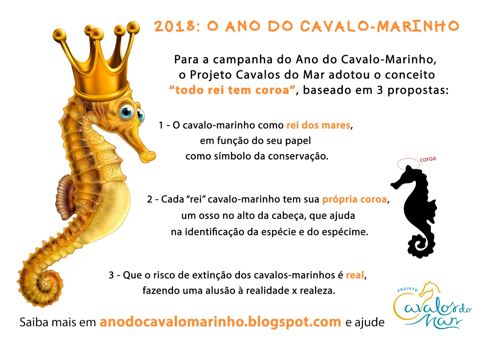 Projeto Cavalos-Marinhos do Rio de Janeiro