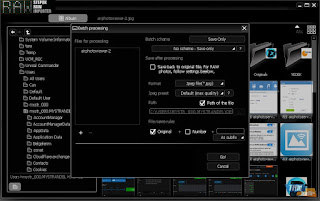 Stepok Raw Importer Portable