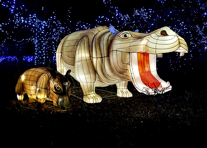 The 614ortyNiner Crafty Types, Church Brews and Zoo Lights Return