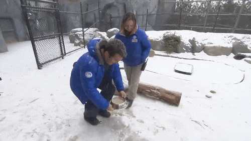 940E561F-E3FD-48A7-A82F-F616C77CBD34.gif