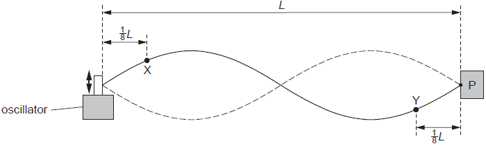 A uniform string is held between a fixed point P and a variable ...