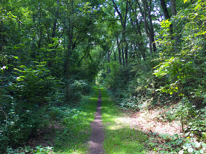 Ice Age Trail Janesville to Milton Segment