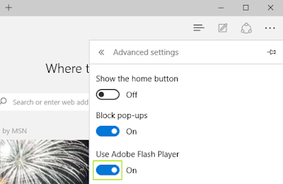 tampilan View Advanced settings pada Microsoft Edge