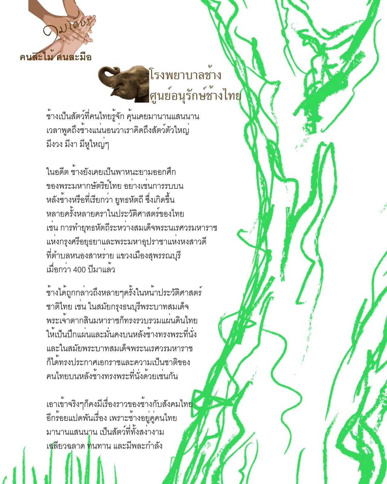 My Image 43