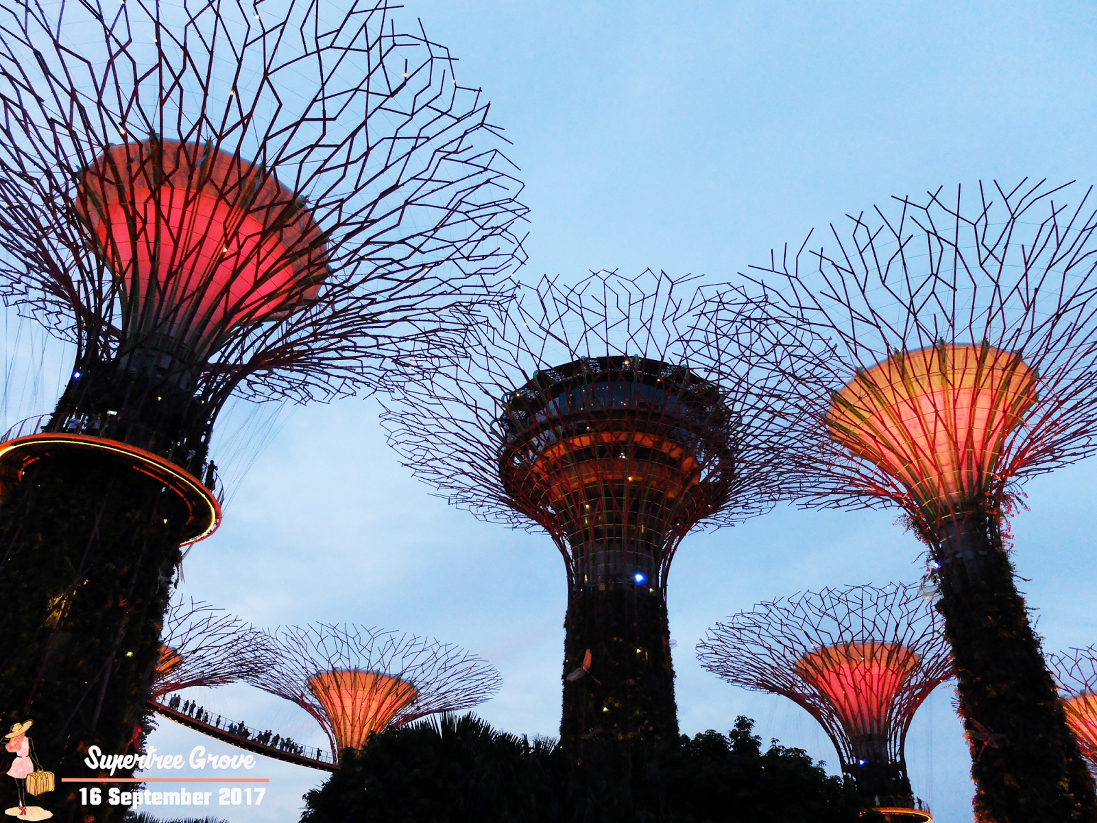 ocbc skyway