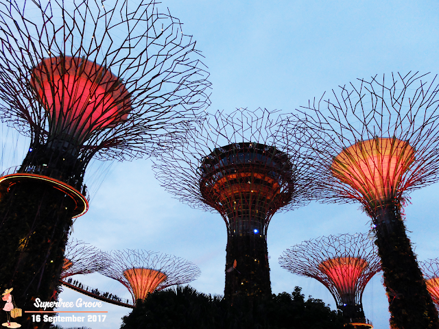 ocbc skyway