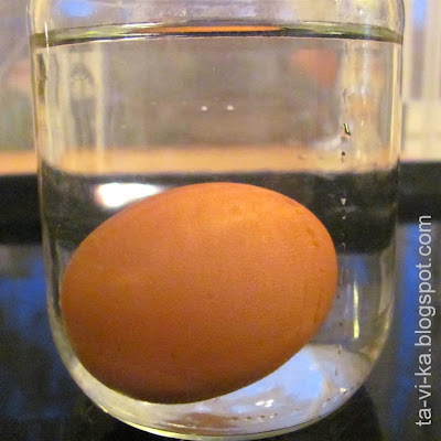 опыт с яйцом