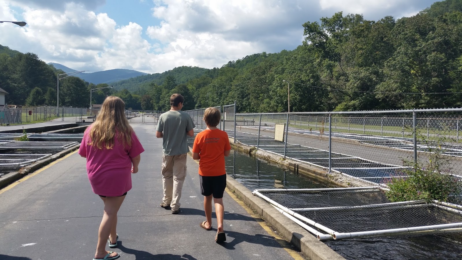 Life as a Homeschool Mom Why Do We Have Trout Hatcheries?