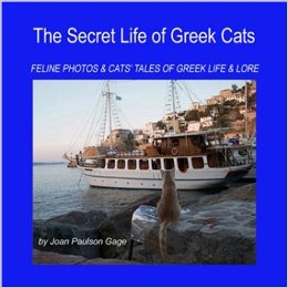 feline photos and cats' tales of greek life
