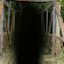 Unexplained Mysteries: The Shadow People