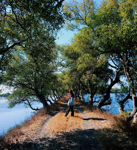 21 Tempat Wisata Di Sidoarjo Yang Wajib Dikunjungi Tahun Ini Harga Tiket Kepengen Wisata