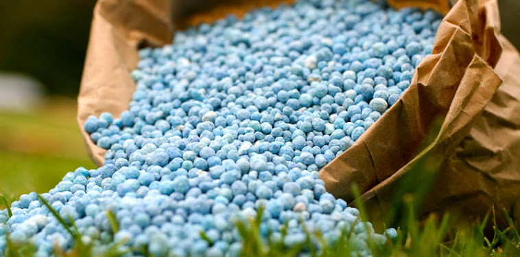 Harga Pupuk NPK Terbaru di Pasar Bulan ini Harga Pupuk NPK Terbaru di Pasar Bulan ini