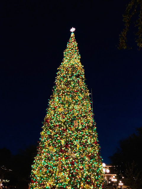 Disneyland Holidays, Christmas, holiday season, Disneyland, top Disneyland holiday ideas, Disneyland Christmas Tree