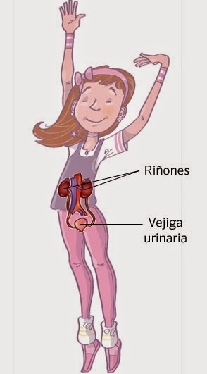libro de maestrilla: El cuerpo humano y la relacion