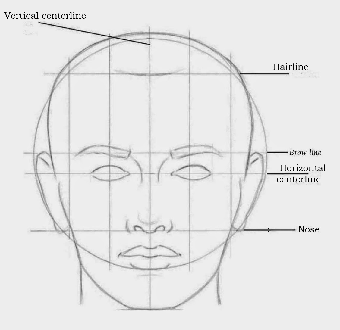 Facial Proportions Drawing 77