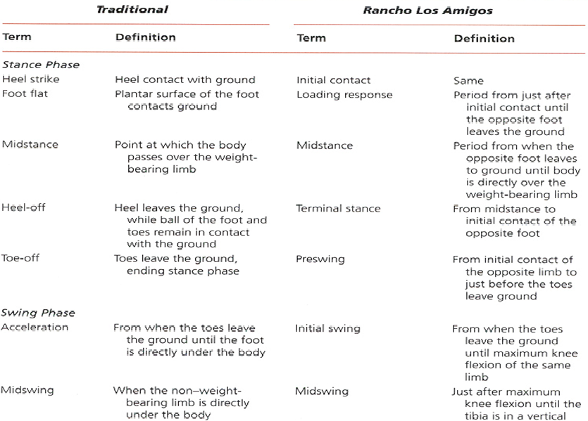 Movement Review Basics Of Gait Training Walking