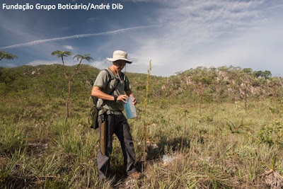 Expedição realizada em 2016, na Reserva Natural Serra do Tombador, teve como foco o aumento do conhecimento sobre espécies locais. Foto: Fundação Grupo Boticário/André Dib Reserva Natural Serra do Tombador, RPPN Serra do Tombador, Fundação Grupo Boticário de Proteção à Natureza, goiás, natureza, unidade de conservação, meio ambiente, uc, conservação da natureza, preservação ambiental, expedição, ciência, pesquisa