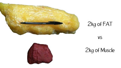 Як виглядають 2 кг жиру та 2 кг м'язів