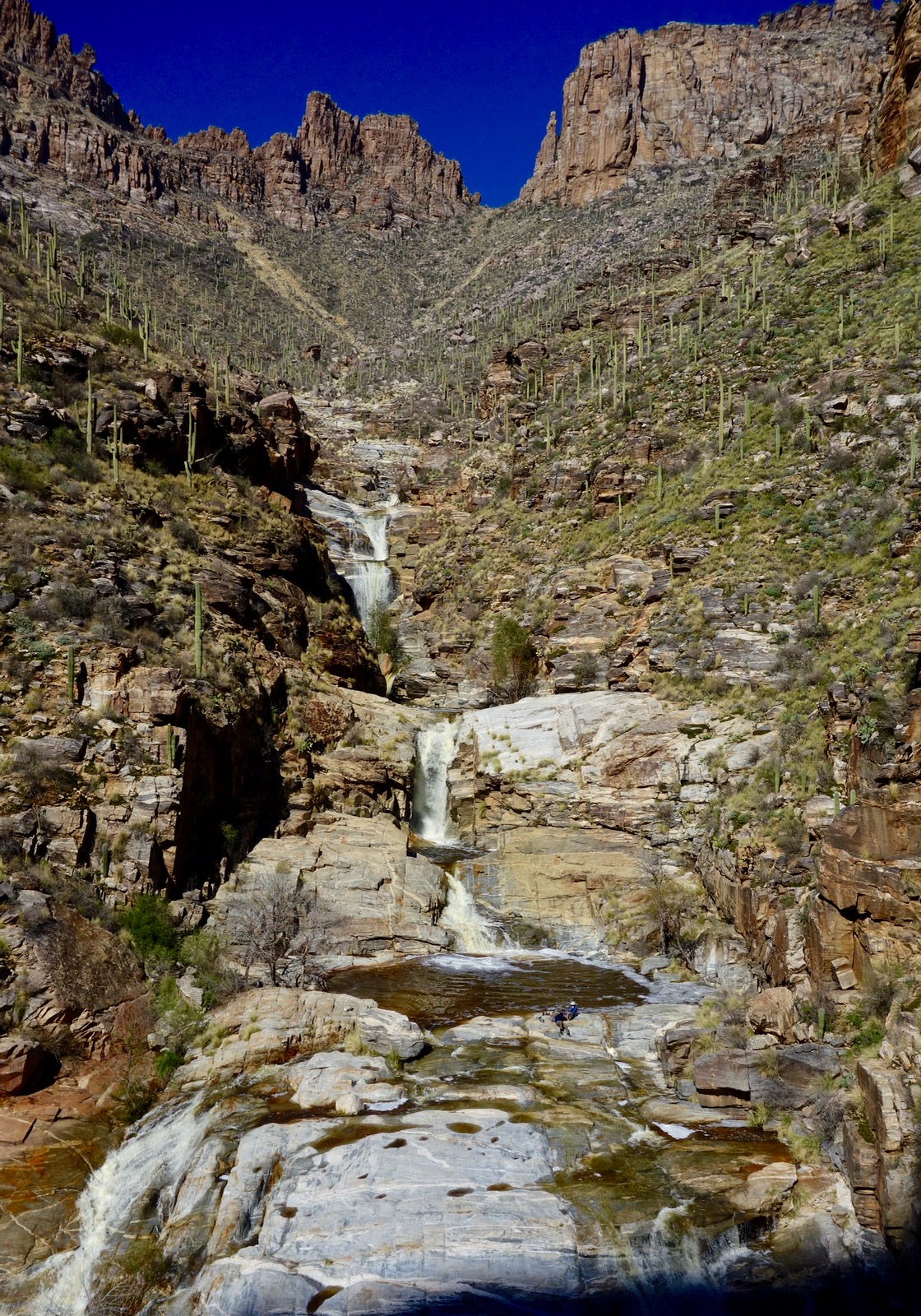 Sabino Canyon Trail Map