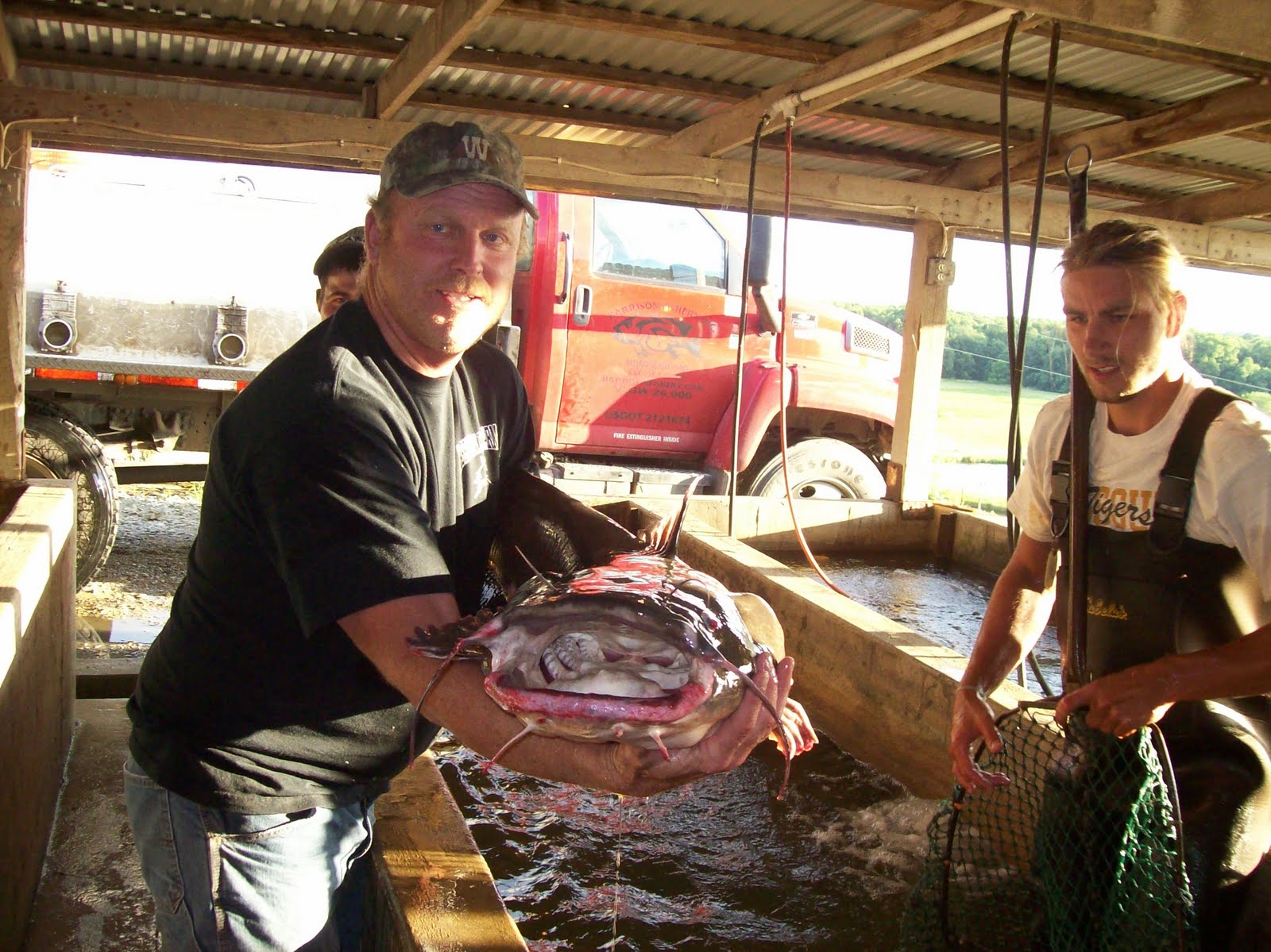Pond Stocking Lake Stocking Harrison Fishery Blog
