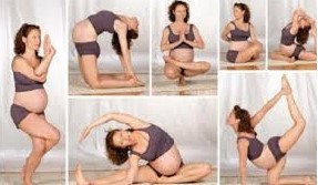 Manfaat Senam Yoga Bagi Wanita Masa Kini | Zonapelatih
