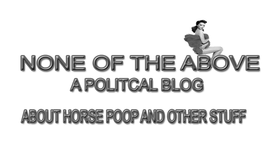 NONE OF THE ABOVE - A Political Blog about Horse Poo and such