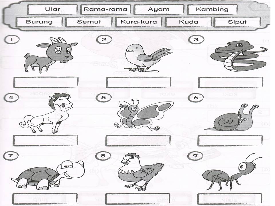 Dunia Sains dan Teknologi Tahun 1 (KSSR) Kuiz