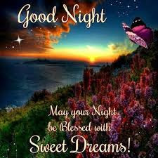 good night good night