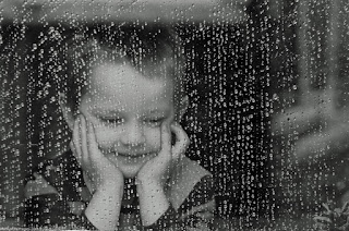 ���� ���� ������ �� ���� ������