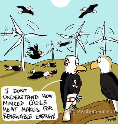 bald+eagles+and+wind+turbines+copy+copy.